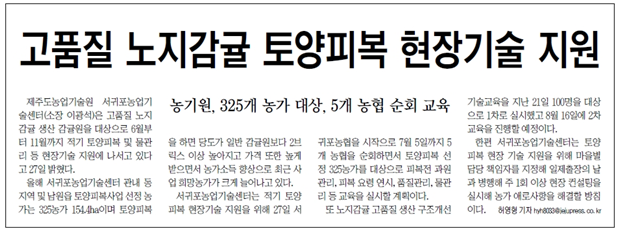 고품질 노지감귤 토양피복 현장기술지원(제주신문,2017.6.28)